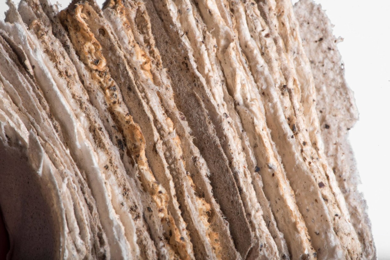 from-venice-with-algae-pablo-dorigo-sempere-design