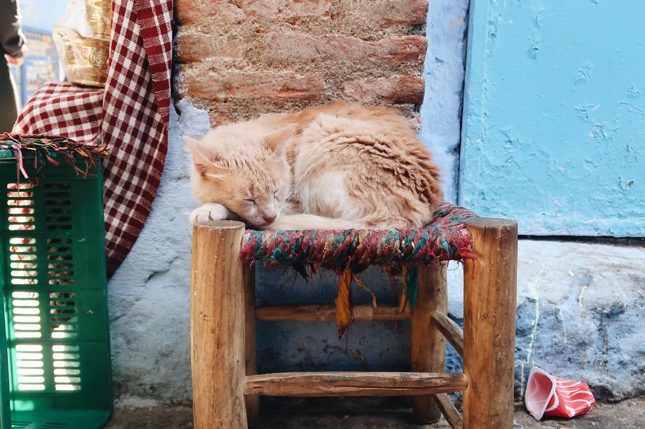 marrocos-1.jpg
