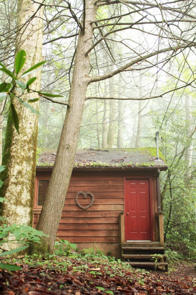 wood_cabin_love_nest_trees_forest_home_nature-5510