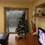 IMG_0081.JPG
