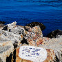 SAM_2674_edited.jpg