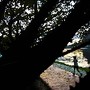 Amanhecer - Aterro do Flamengo - Mulher aproveita 