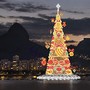 &Aacute;rvore da Lagoa simbolizando a esta&ccedil;&atilde;o do ver&atilde;
