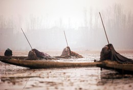 Pescadores no Lago Anchar, Srinagar, Caxemira