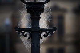 Teias aranha poste iluminação Dresden, Alemanha 