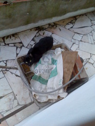 fb_e30e6deba745a98b6d4b36425728e8bb