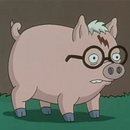 porco_400x400.jpg
