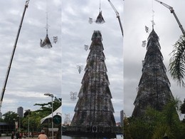 &Aacute;rvore de Natal da Lagoa recebe estrela - Foto Re