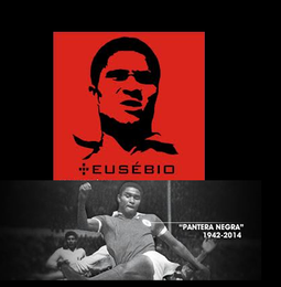 Sem T&iacute;tulo 2.png