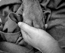 32169679_10212421885318554_6571957698466676736_nTr