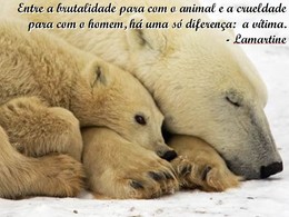 fb_IWMJBiSpuGwGusm3uIDq