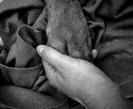 32169679_10212421885318554_6571957698466676736_nTr